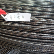 High Quality AISI 316 PC Steel Wire 4.8mm